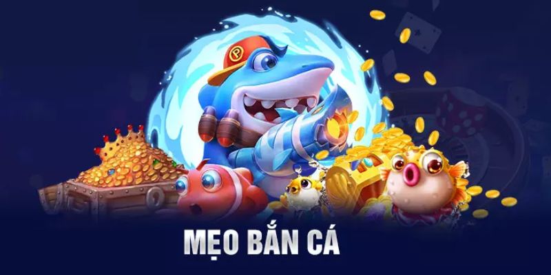meo ban ca doi net